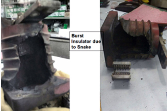 cable-terminal-protector-for-transformers